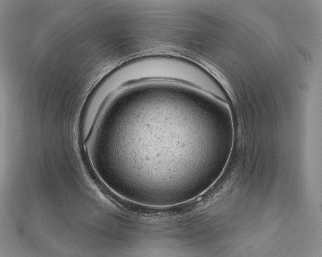 X0000112780485200908271707