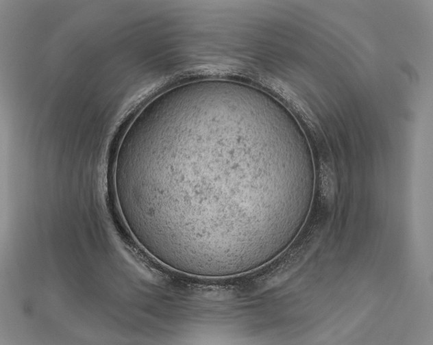 X0000112780486200908271707