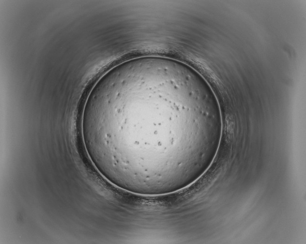 X0000112780487200908271707