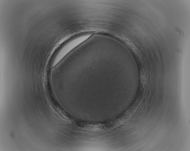 X0000112780488200908271707