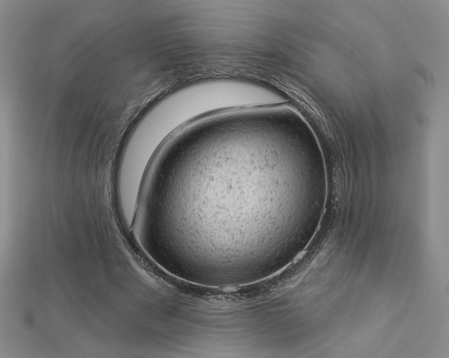 X0000112780489200908271707