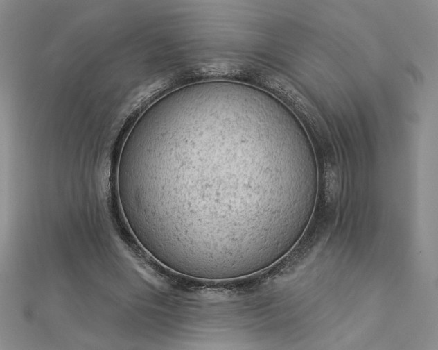 X0000112780490200908271706