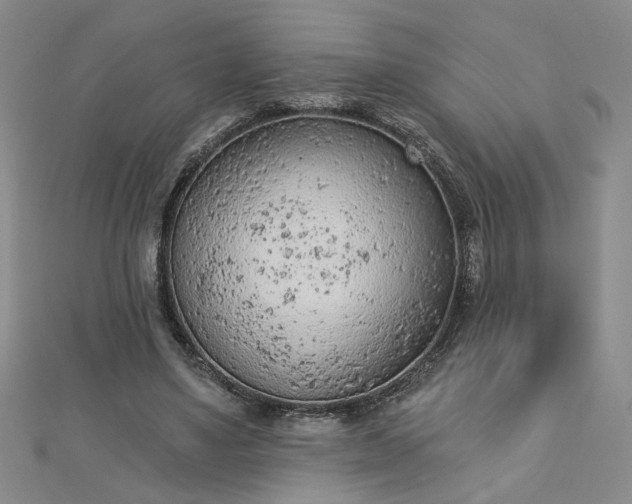 X0000112780491200908271706