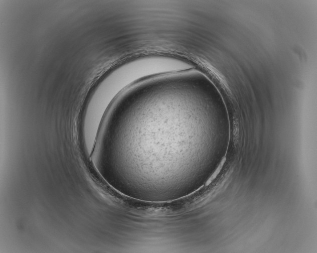 X0000112780493200908271706