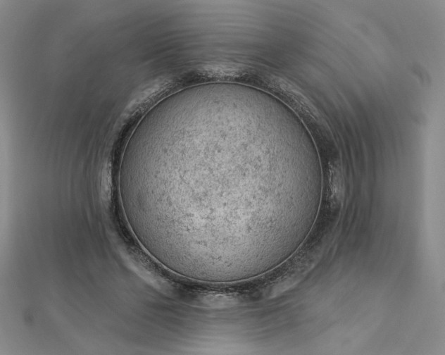 X0000112780494200908271706