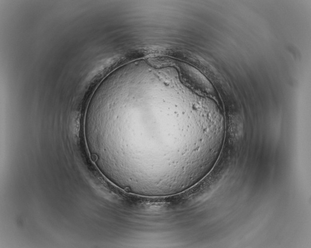 X0000112780495200908271706