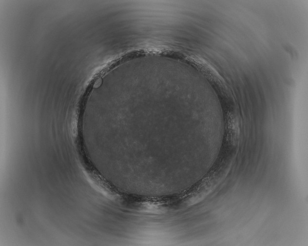 X0000112780496200908271706