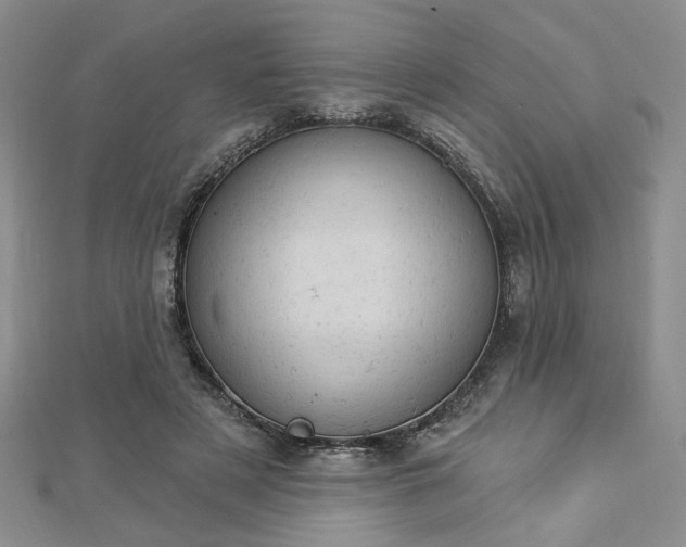 X0000112780497200908271706