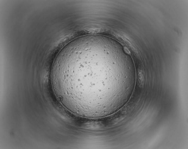 X0000112780499200908271706