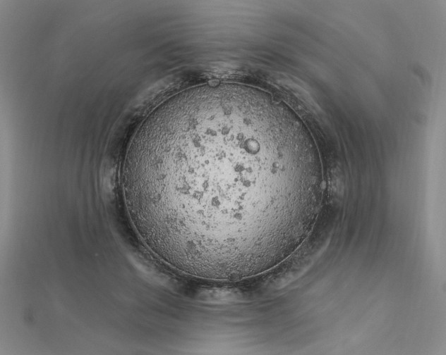 X0000112780503200908271706