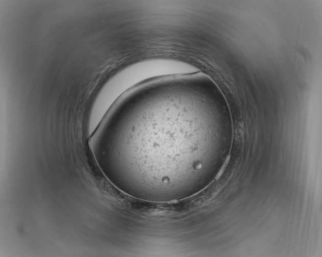 X0000112780504200908271706