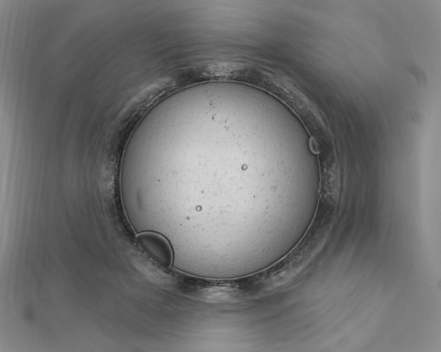 X0000112780505200908271706