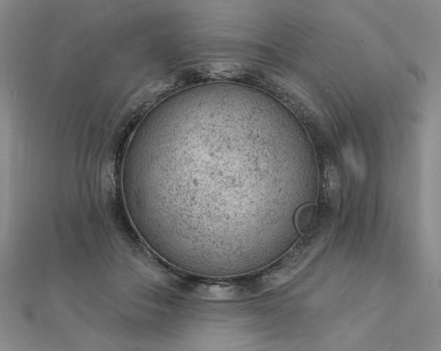 X0000112780506200908271706