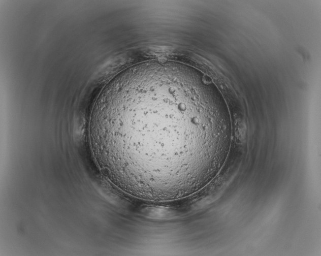 X0000112780507200908271706