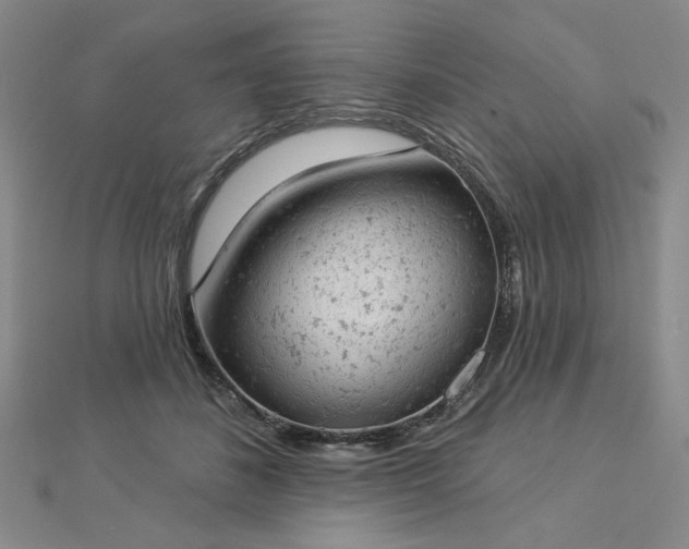 X0000112780508200908271706