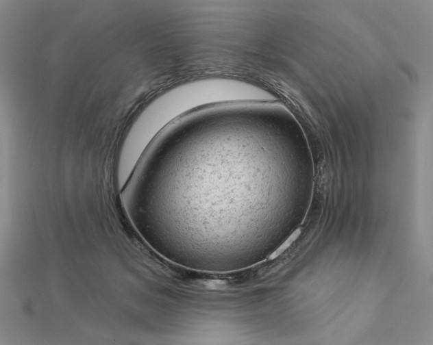 X0000112780509200908271706