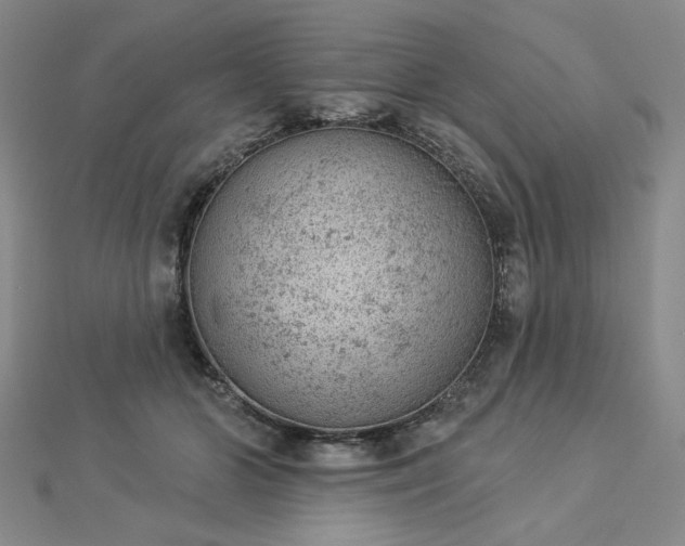 X0000112780510200908271706