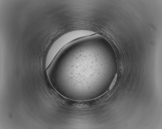 X0000112780512200908271706