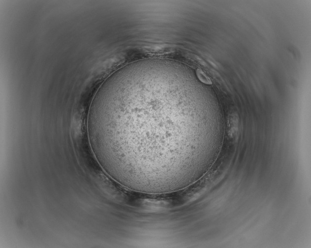 X0000112780515200908271706