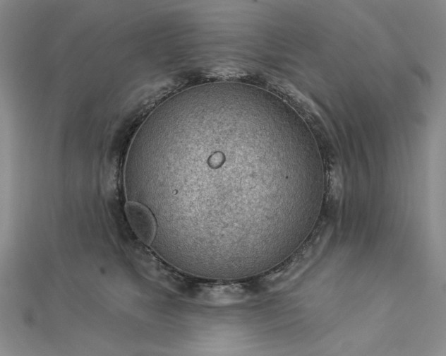 X0000112780517200908271706