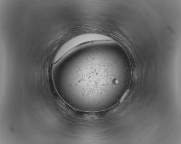 X0000112780520200908271706