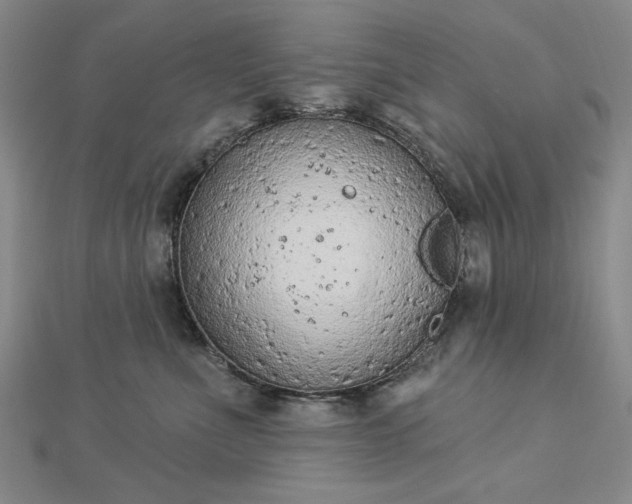 X0000112780523200908271706