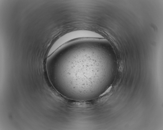 X0000112780524200908271706