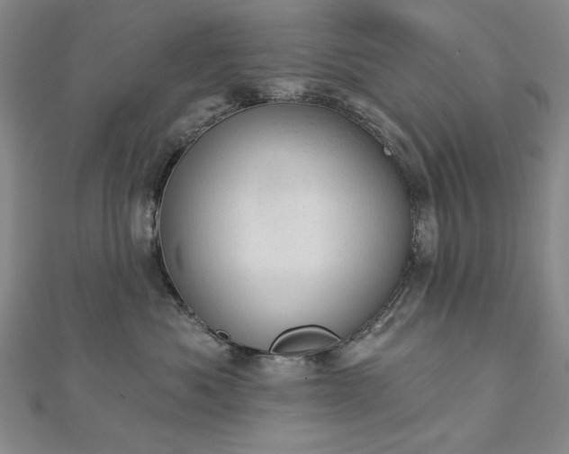 X0000112780525200908271706