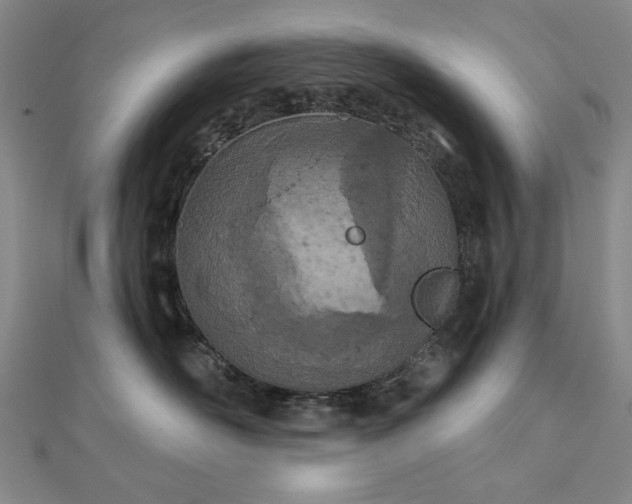 X0000112780526200908271706