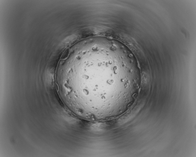 X0000112780527200908271706