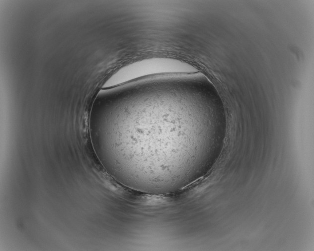 X0000112780528200908271706