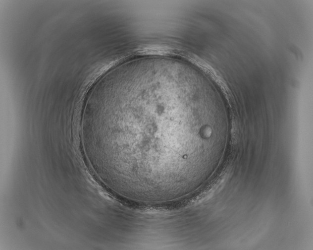 X0000112780529200908271705