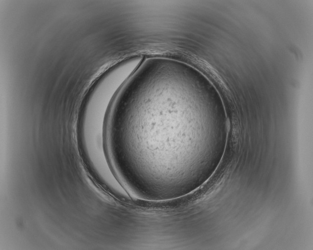 X0000112780530200908271705