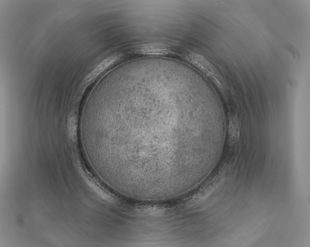 X0000112780533200908271705