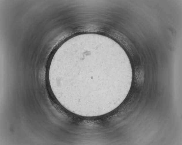 X0000112780534200908271705