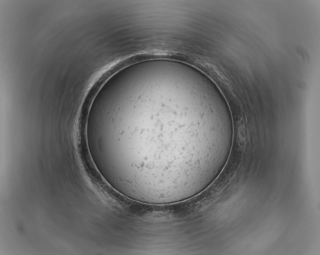 X0000112780536200908271705