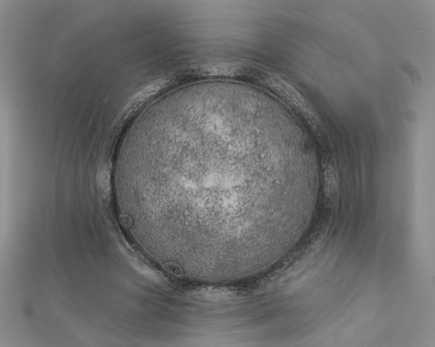 X0000112780537200908271705