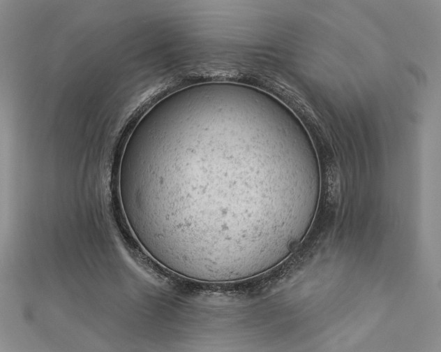 X0000112780538200908271706