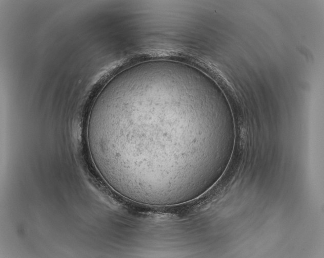 X0000112780539200908271706