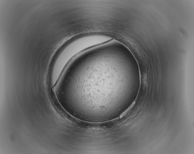 X0000112780540200908271706