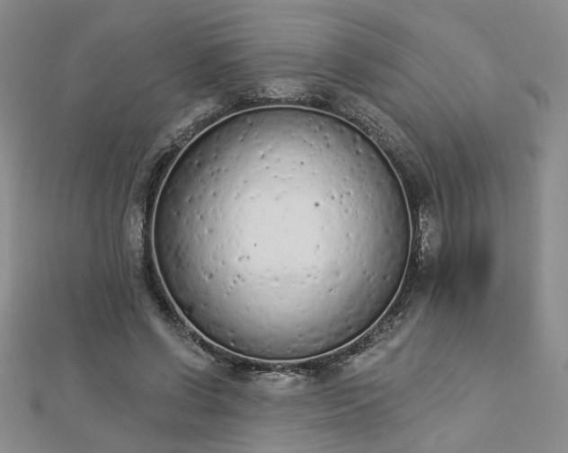 X0000112780542200908271706