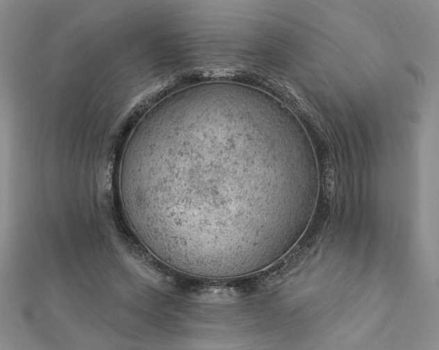 X0000112780543200908271706