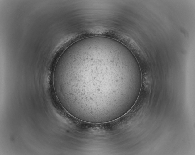 X0000112780544200908271706