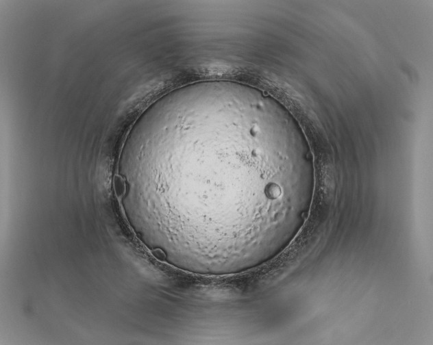 X0000112780545200908271706