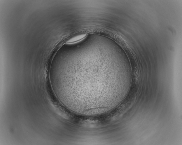 X0000112780546200908271706