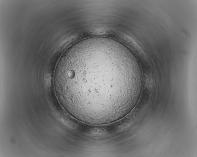 X0000112780549200908271706