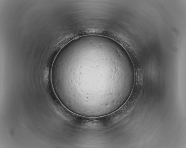 X0000112780550200908271706