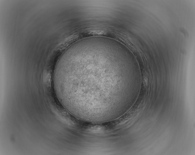 X0000112780551200908271706