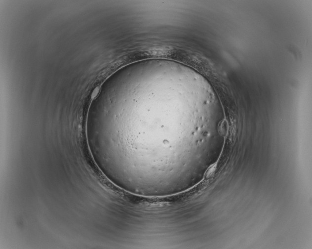 X0000112780553200908271706