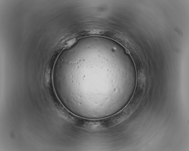 X0000112780554200908271706